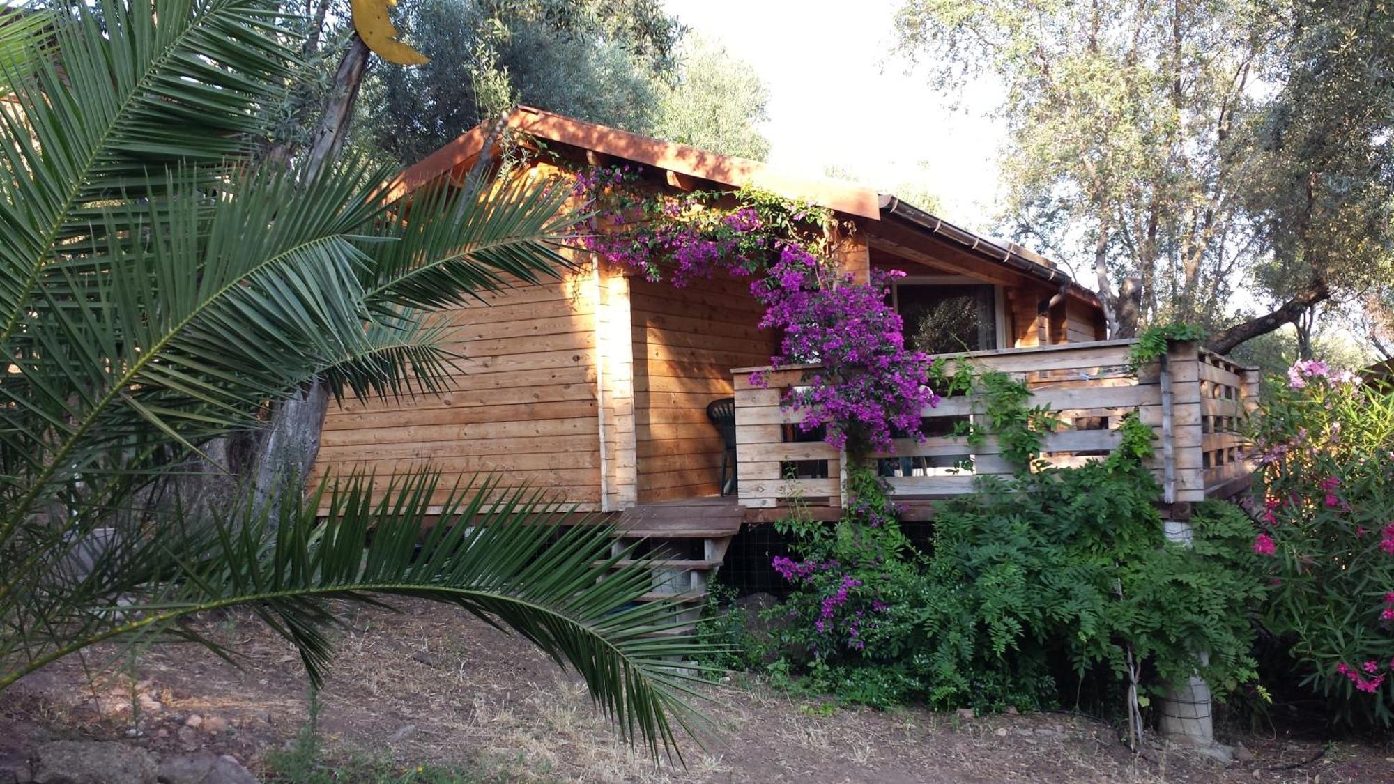 Mare E Monti Chalets Porto Pollo Room photo