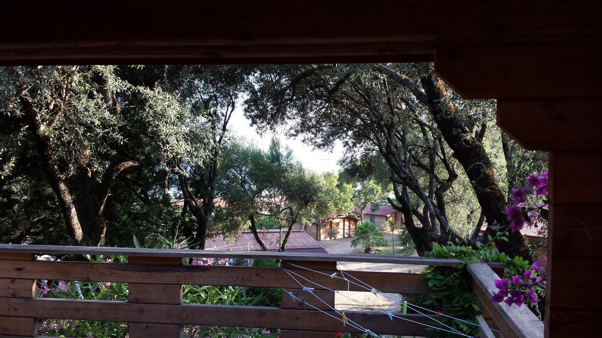 Mare E Monti Chalets Porto Pollo Room photo