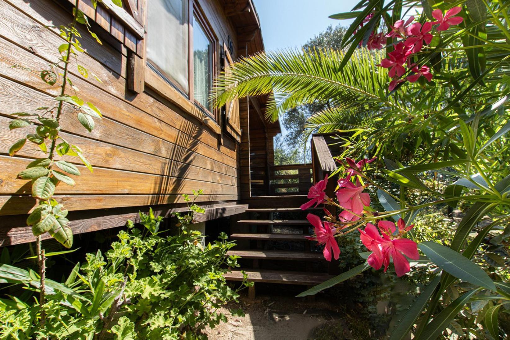 Mare E Monti Chalets Porto Pollo Exterior photo