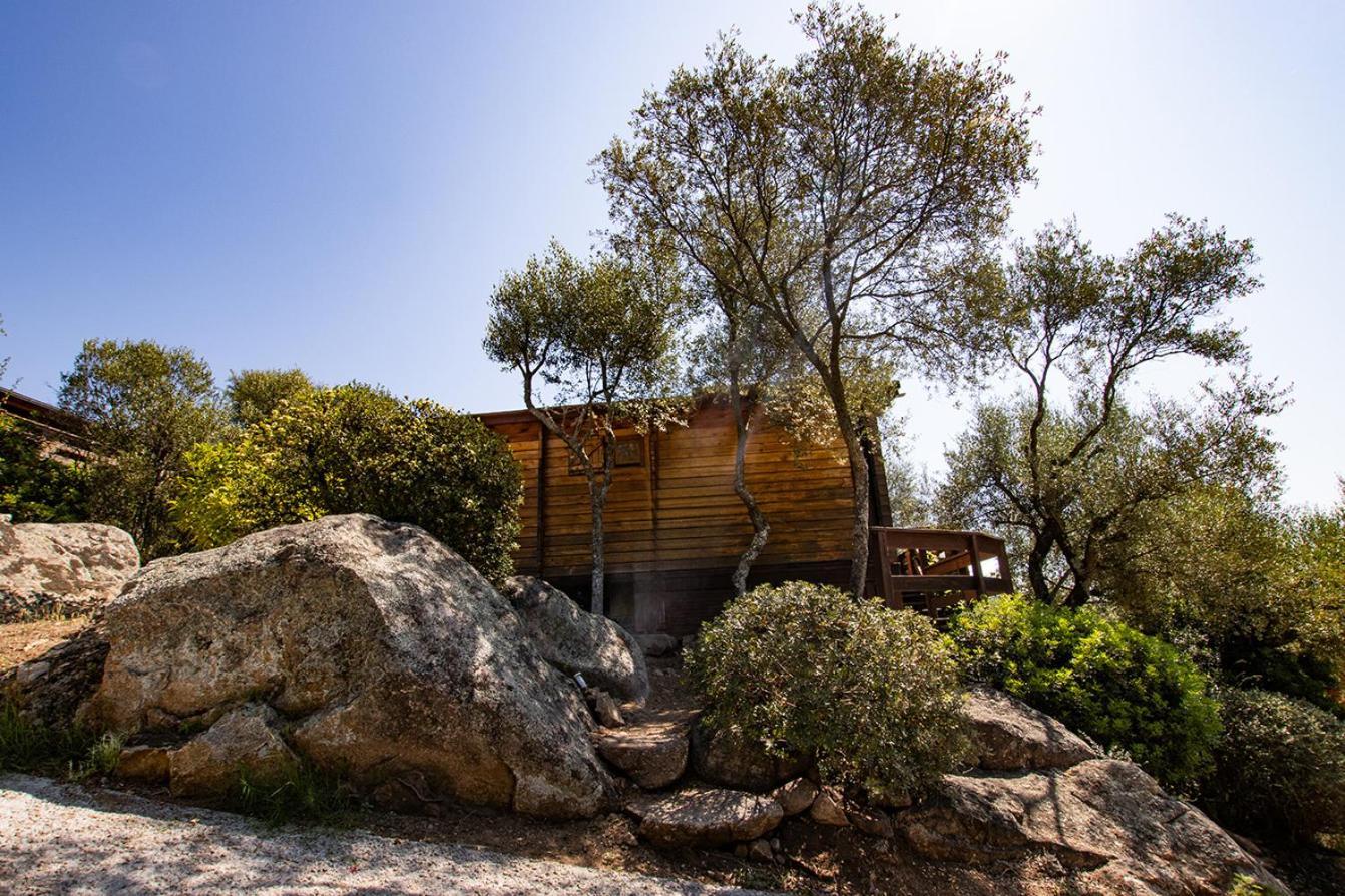 Mare E Monti Chalets Porto Pollo Exterior photo