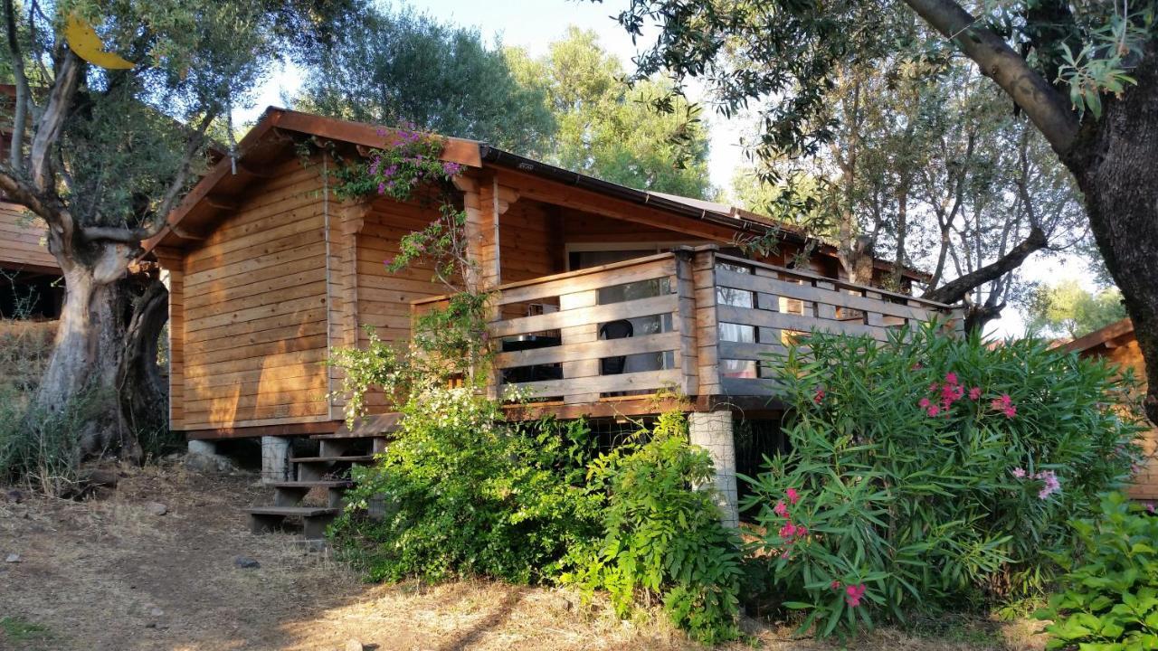 Mare E Monti Chalets Porto Pollo Room photo