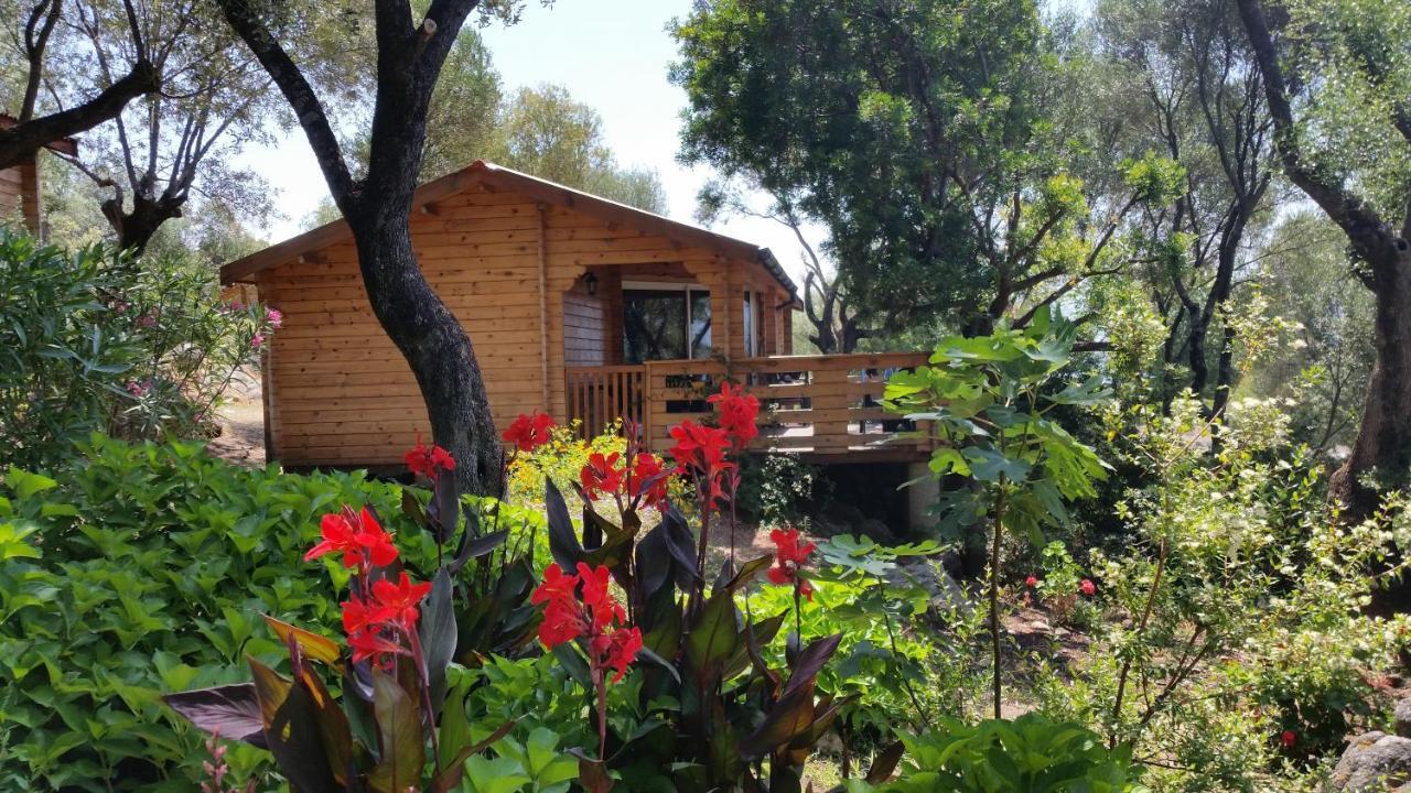 Mare E Monti Chalets Porto Pollo Room photo