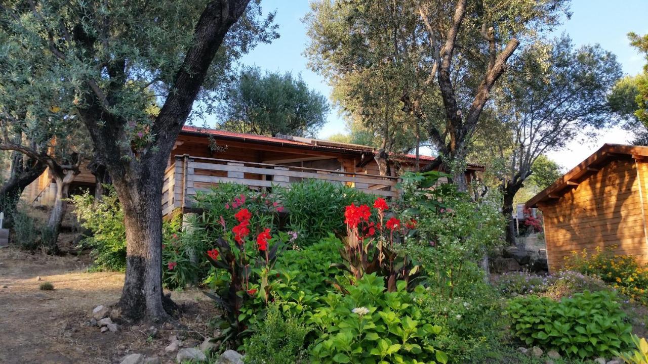 Mare E Monti Chalets Porto Pollo Room photo